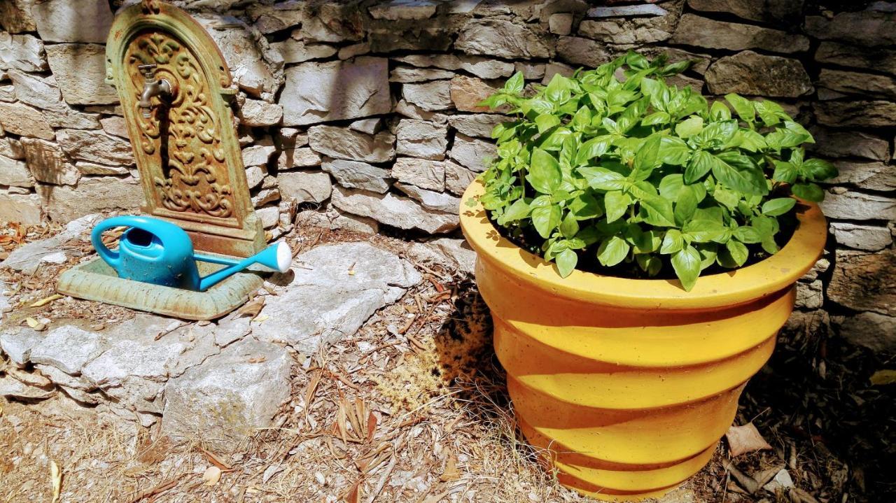 Bed and Breakfast Nimes En Garrigues Esterno foto